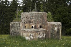 Rupnikova linija in Alpski zid